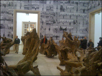 20111102-Rooted Upon.jpg